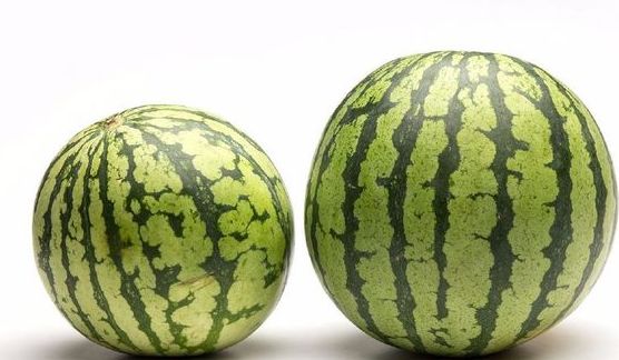 一只被放置了3年的西瓜,外表完好切开后,大家都呆住了