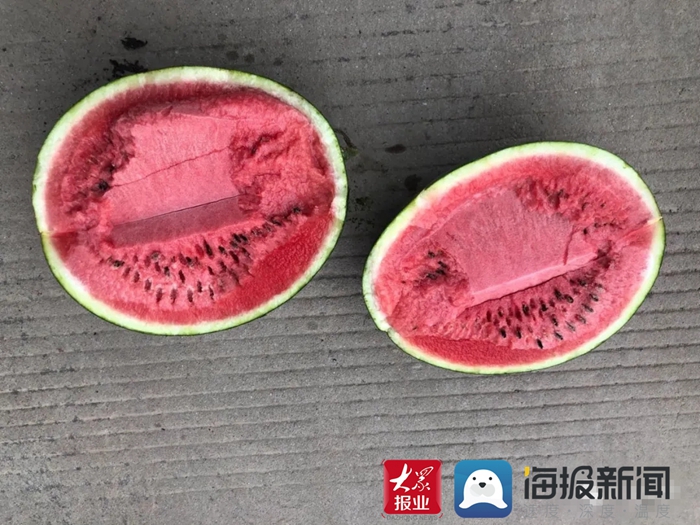 东明西瓜1元1个 实现"西瓜自由"的机会来了!