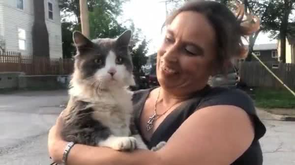 猫咪在车顶上睡着,被粗心车主带到高速上狂兜风休闲区蓝鸢梦想 - Www.slyday.coM 猫咪在车顶上睡着,被粗心车主带到高速上狂兜风休闲区蓝鸢梦想 - Www.slyday.coM