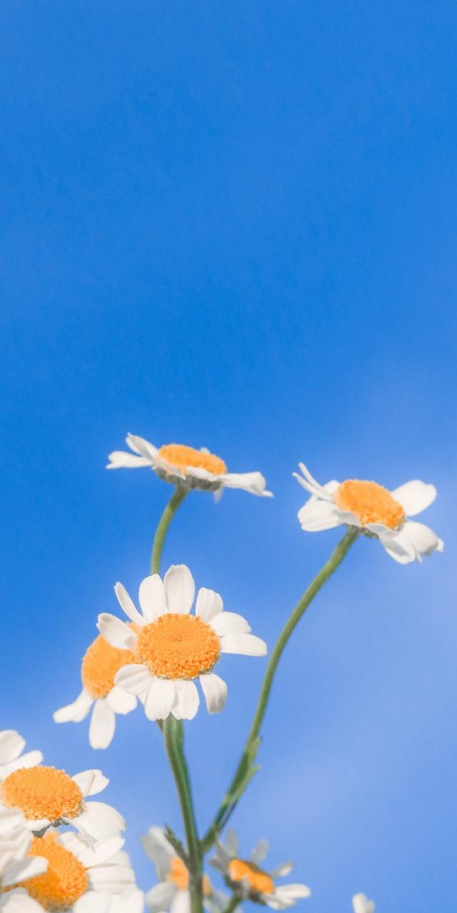 晚安适合发朋友圈的治愈系句子温柔暖心愿世界晚安