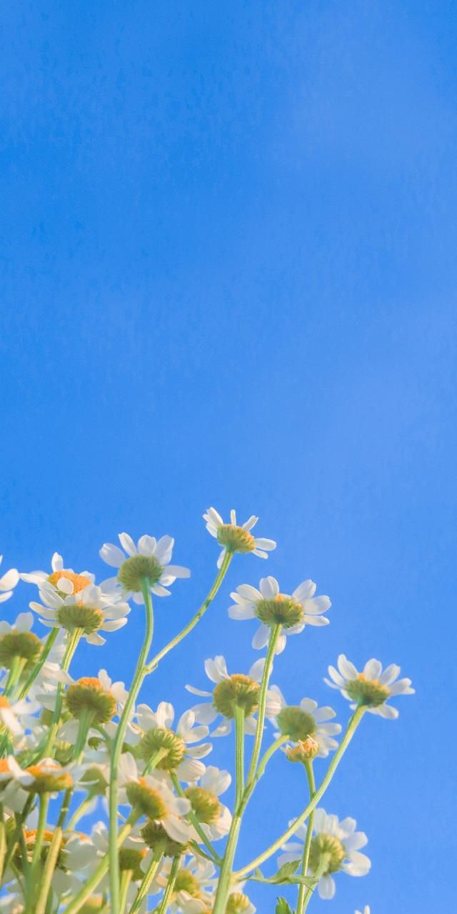 晚安适合发朋友圈的治愈系句子温柔暖心愿世界晚安