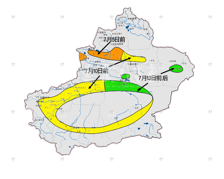 2020年全疆棉花打顶时间建议