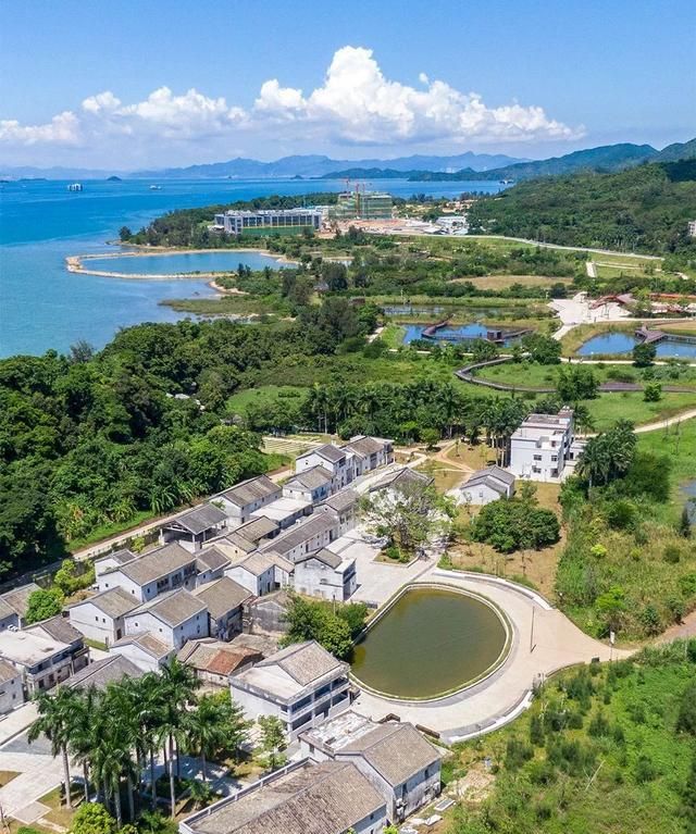 坝光村|长廊|银叶树_新浪新闻