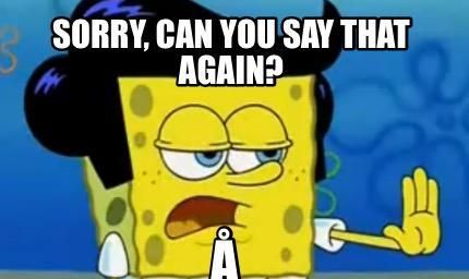 原谅我,对不起;请再说一遍pardon me?