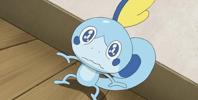 最新tv动画宝可梦剑盾中水系御三家泪眼蜥将要闪亮登场