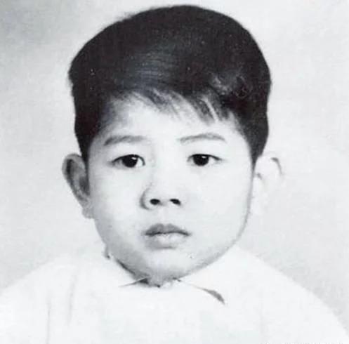 巨星童年照,成龙 刘德华 朱茵 张学友 林青霞 郭富城小时候照片