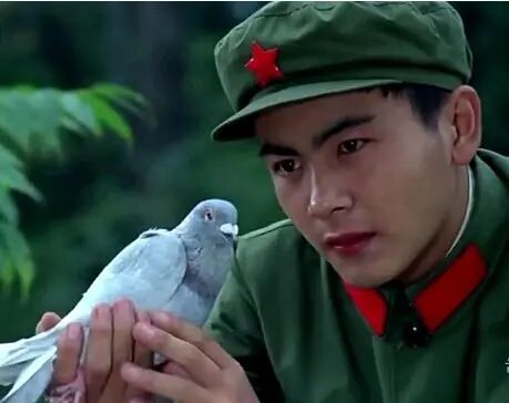 军艺有四大校草我们只记得杨洋沈腾和沙溢把他遗忘了