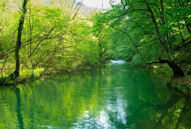 人生的旅途太过遥远,我们走走停停,一路所见,有坎坷和磨难,更有风光