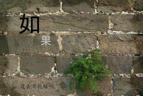 你来时携风带雨我无处可避走时乱了四季我久病难医