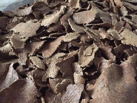 当下气温较高15天足可沤制好花生麸液肥果农需了解5个关键点