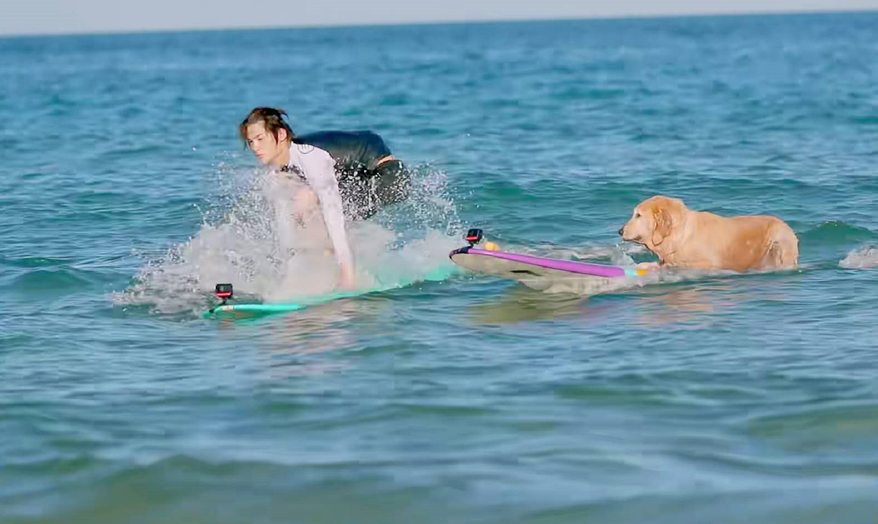 《夏日冲浪店》首播热度第一,比《中餐厅》更解压,全程姨母笑