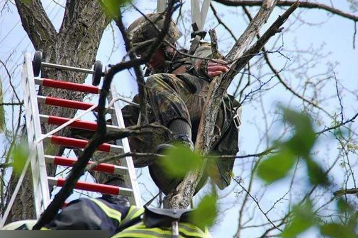 6名伞兵偏离落地点,村民:都被挂在树上了|伞兵|跳伞|德国_新浪新闻