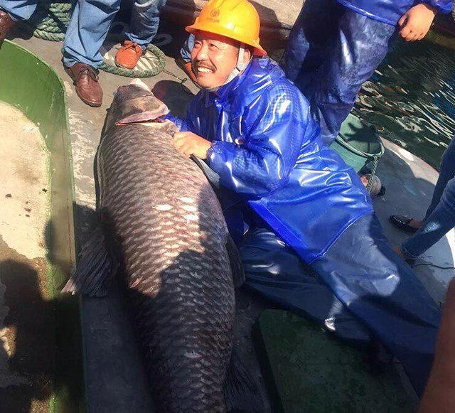 男子在池塘捞到上百公斤的大鱼王接下来的一幕我们都不想看到