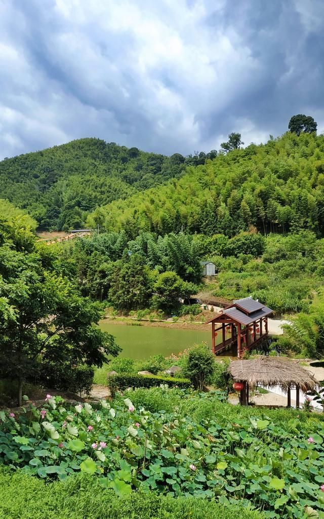 美丽三明洋溪清枫谷的魅力