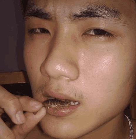 男子5岁开始吃活蝎子, 一天50条, 医生给他检查身体后不敢休闲区蓝鸢梦想 - Www.slyday.coM