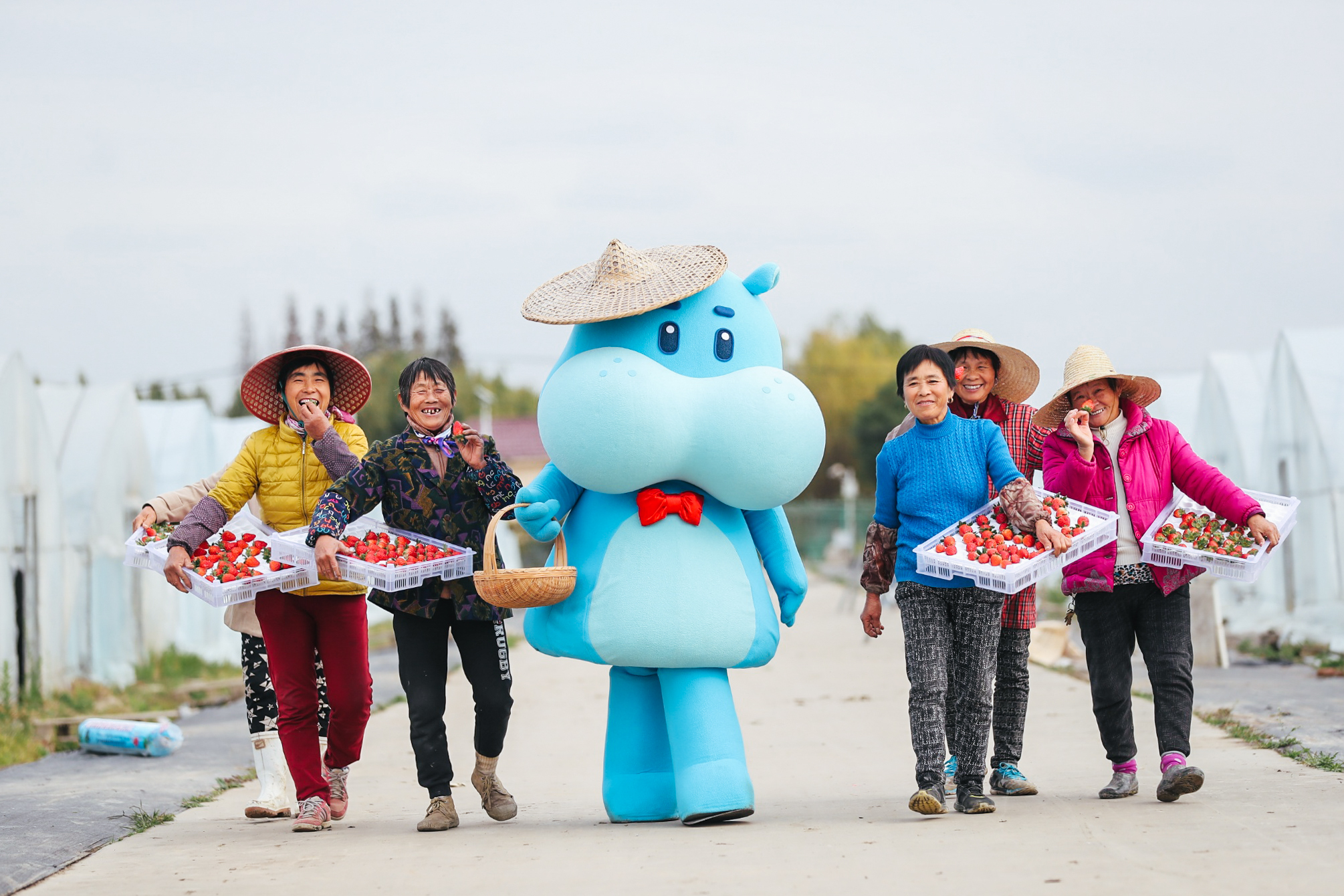 推动供应链升级 中化联手阿里战略合作共建15个盒马村