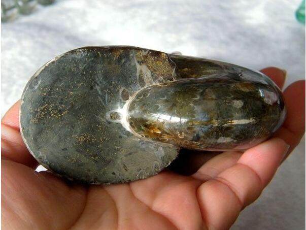 老家捡了几块烂石头,新婚邻居看见后,爱不释手