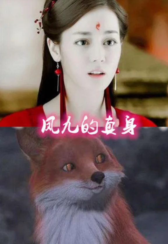 当女神现出真身凤九狐狸白夭夭白蛇看到白雪带回家