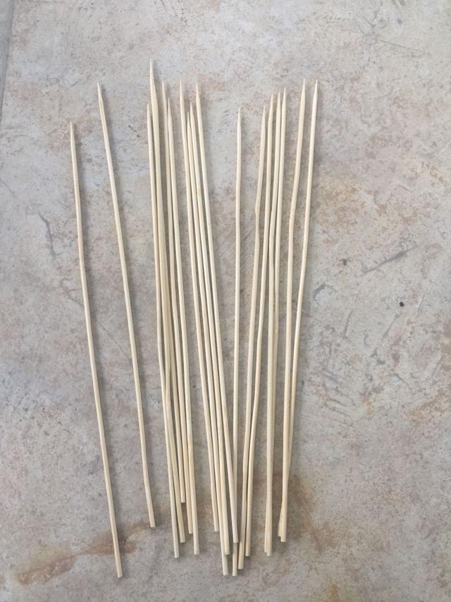 兰花浇水总是烂根死苗一根烤串竹签就搞定兰花浇水可以很佛系