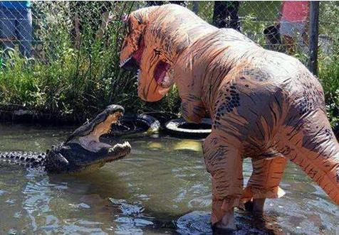 动物园鳄鱼笼子里传来吼叫声,凑近一看傻眼了