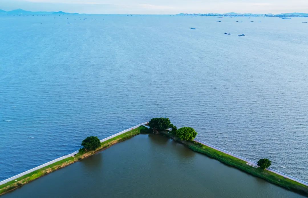 图说滨海湾 | 下足绣花功夫,交椅湾碧水连天,绿意盎然!