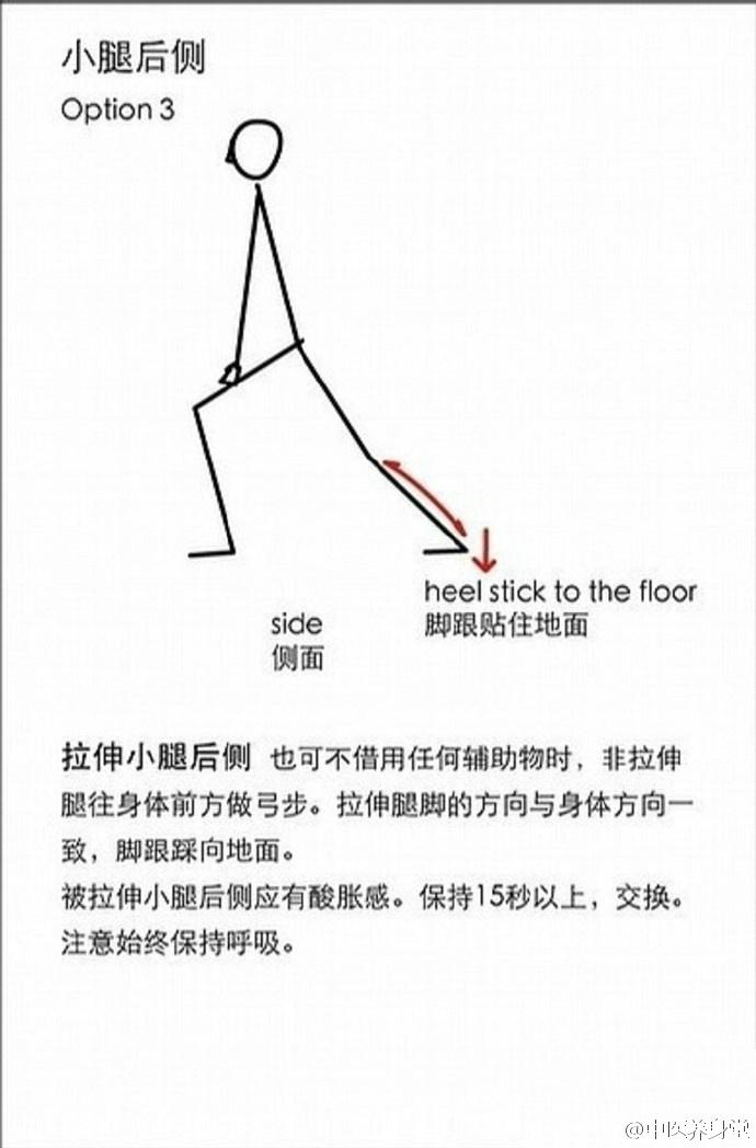 跑步前后拉伸放松很重要