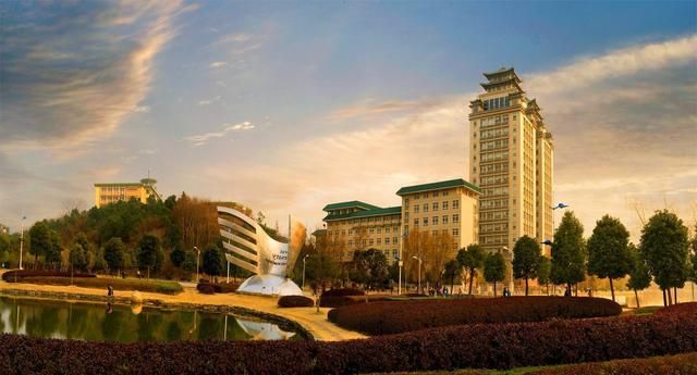 南京|武汉|华中科技大学_新浪新闻