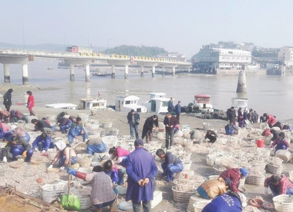 遇到这种方形鱼不要捕捉有毒