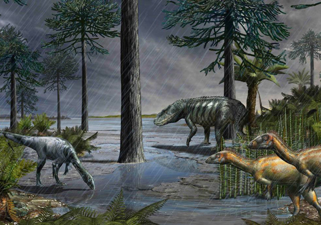 3亿年前,下了持续200万年的暴雨,形成原因或再次出现