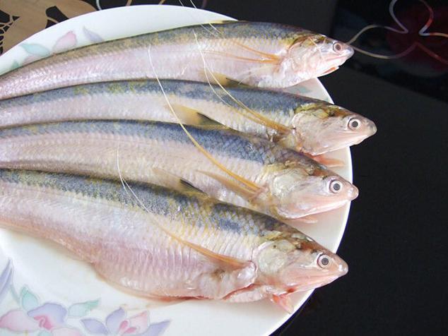 这种野生鱼,硬是被吃到濒临灭绝,以前几毛一斤,现在买不到|刀鱼|灭绝