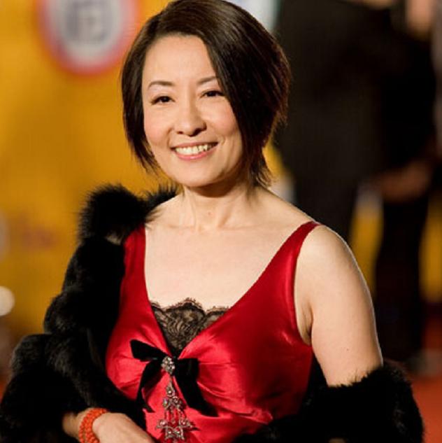 如今63岁的她却被指控涉嫌诈骗|昨夜星辰|沈时华|海角七号_新浪新闻