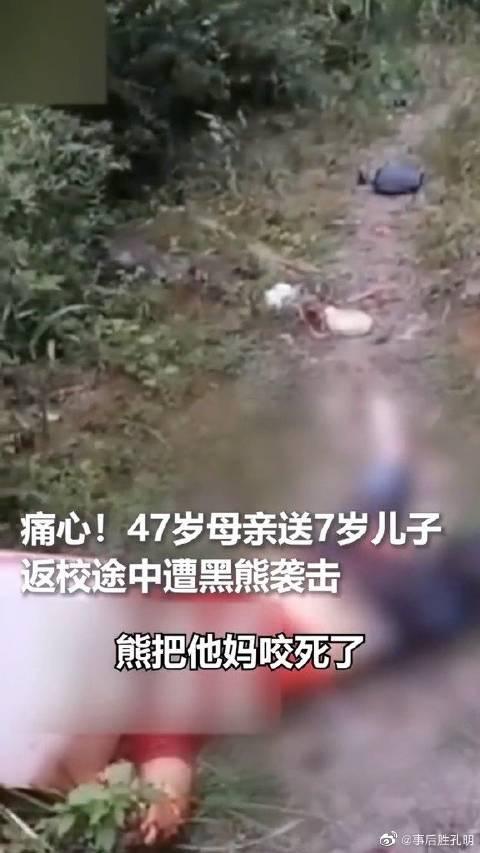 四川江油黑熊咬死3村民:母亲送儿读书被袭击身亡 孩子躲草丛逃过一劫