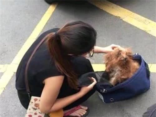 狗狗在垃圾袋里被人发现,结果拿出来后不愿进食,原因让人心酸休闲区蓝鸢梦想 - Www.slyday.coM 狗狗在垃圾袋里被人发现,结果拿出来后不愿进食,原因让人心酸休闲区蓝鸢梦想 - Www.slyday.coM