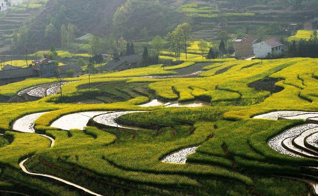 陕南美景,秦巴山区考古发现的面积最大,保存最完整的清代梯田