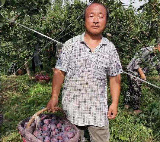 去年被电商"滞销",今年产地每斤不足1元无人收购,网友不买账