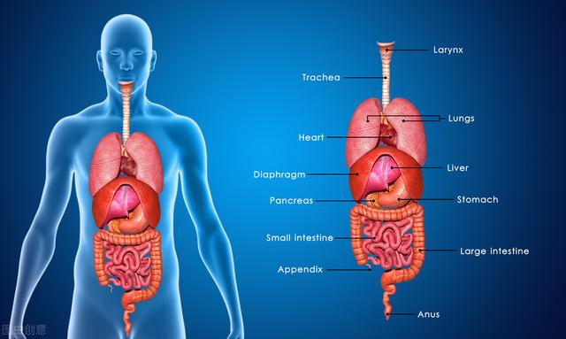 身体这5个部位出现异样说明你的器官太脏了赶紧对照看看