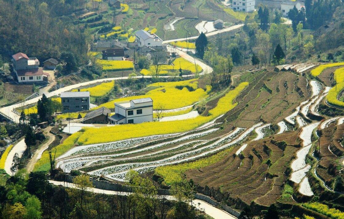 陕南美景,秦巴山区考古发现的面积最大,保存最完整的清代梯田