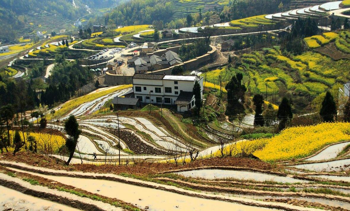 陕南美景,秦巴山区考古发现的面积最大,保存最完整的清代梯田