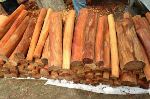 老大爷砍了一堆柴木得知真相后瞬间乐开了花