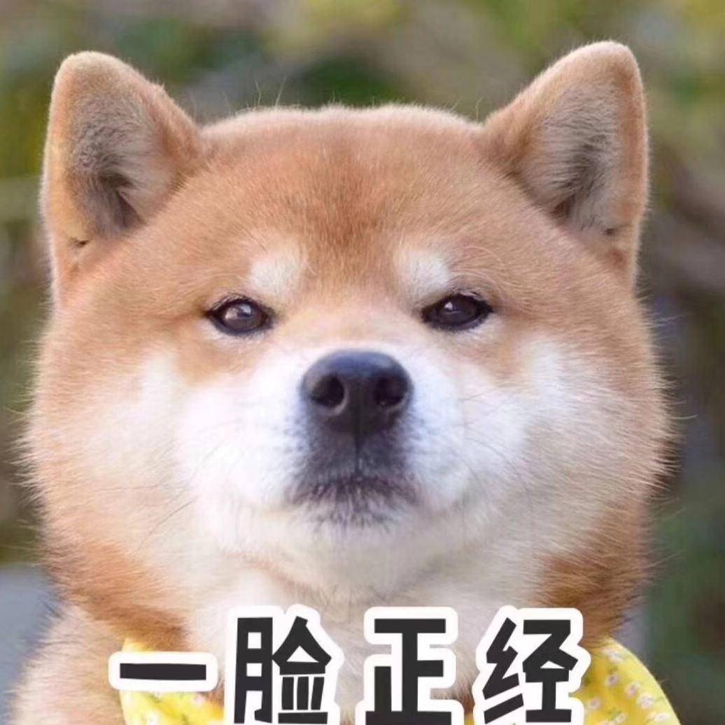 从大狗到白猫 车名到底该不该这么 接地气 新浪汽车