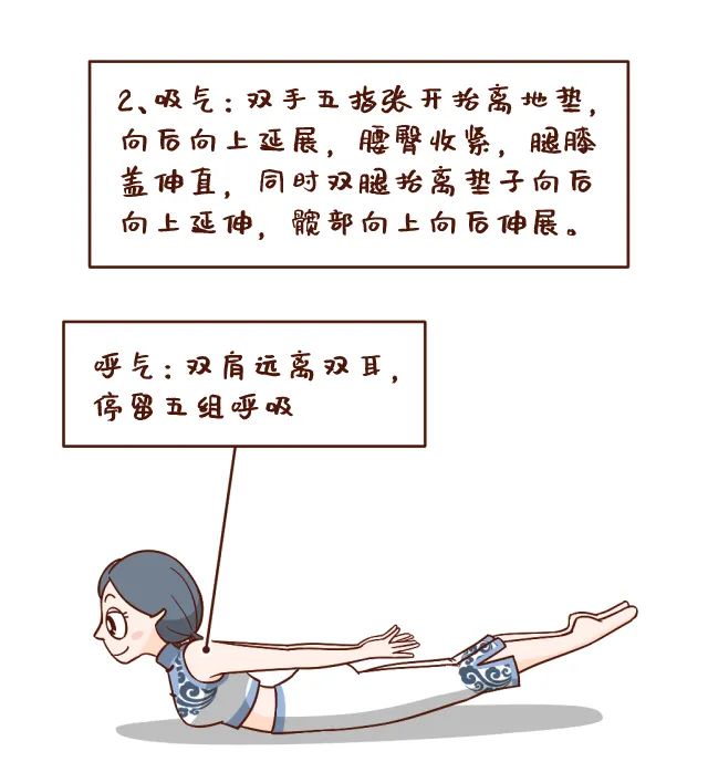 燕子|肚子|体式_新浪新闻