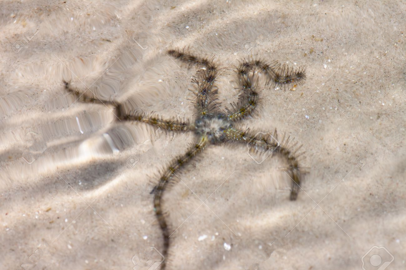 天一热就起鸡皮疙瘩(大热天冷的起鸡皮疙瘩) 天一热就起鸡皮疙瘩(大热天冷的起鸡皮疙瘩)