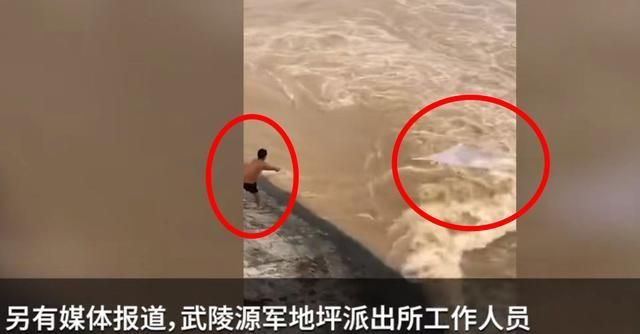 洪水多发，请注意安全！有人为了几条鱼，去河岸捞鱼被卷入水中