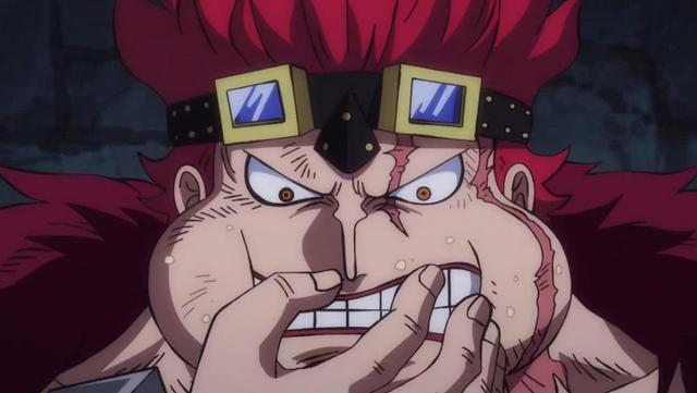 海贼王中果实未知的10位能力者4位是超新星3位登场于和之国