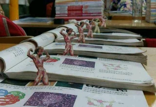 还记得那个高中生物课本里的"肌肉女"吗?如今被移出教科书