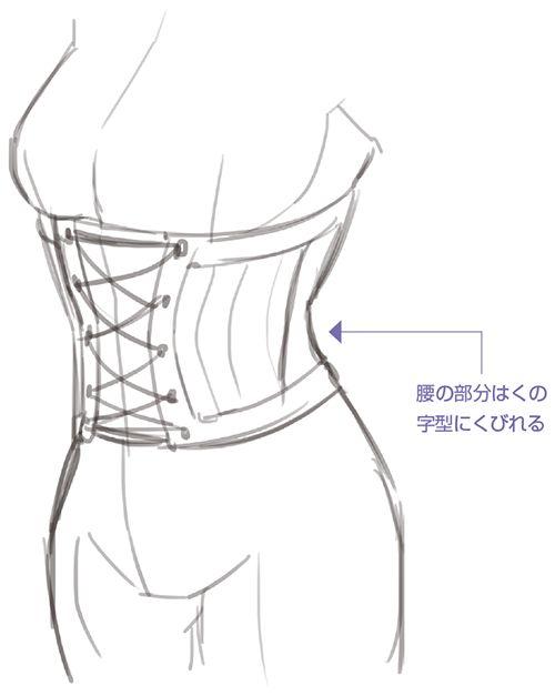 ② 画出草图以位置作为参考来进行束腰的作画.