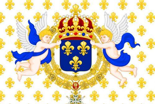 权力最为集中的专制君主路易十四统治下,波旁王朝的蓝地金鸢尾花图案