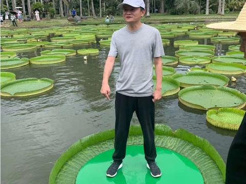 马云近日现身昆明弥勒腾冲西双版纳拍照打卡要干嘛
