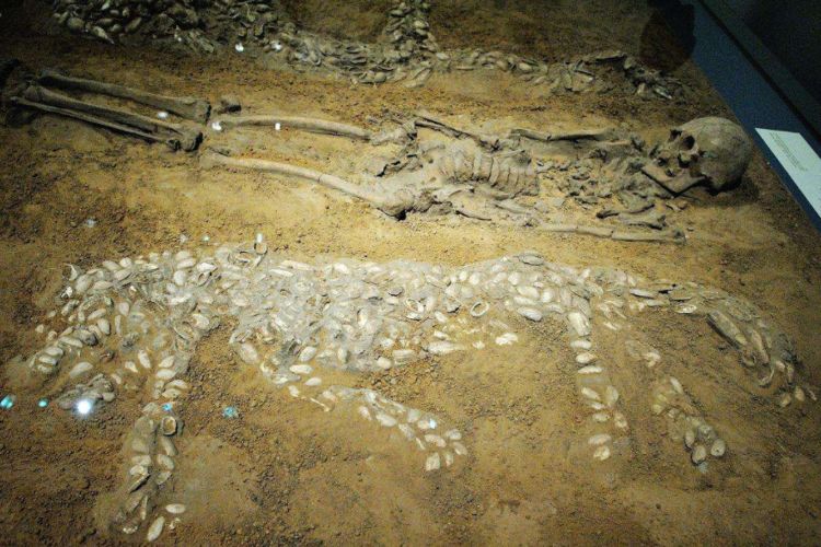 河南发现6000年前古墓墓中男子身高184米身边有苍龙白虎