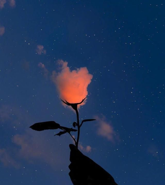 「晚安」干净文艺的伤感句子:冰块握久了,连凉水都觉得温暖!